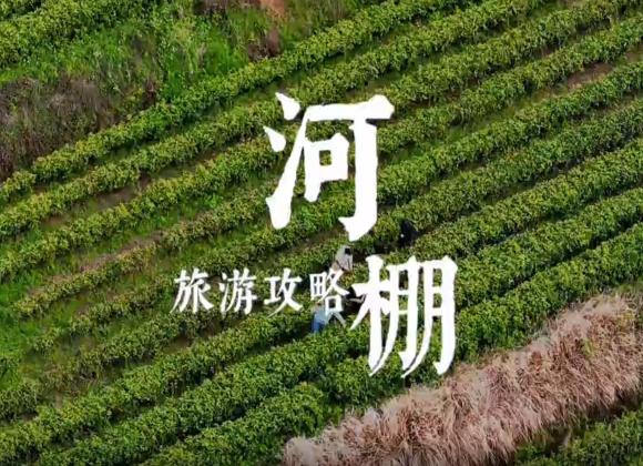 【游舒城】河棚鎮(zhèn)茶旅攻略 河棚鎮(zhèn)茶旅攻略來啦